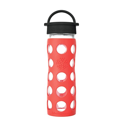 16-Ounce BPA-Free Glass Water Bottle with Classic Cap and Protective Silicone Sleeve, Poppy