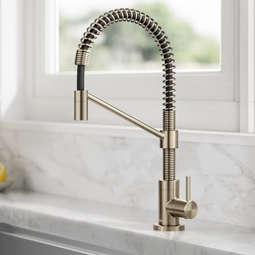 Bolden Single Handle Drinking Water Filter Faucet for Reverse Osmosis or Water Filtration System in Spot