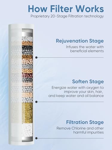 Filtered Shower Head with Handheld