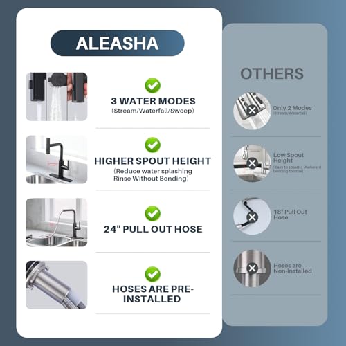Kitchen Faucet with Pull Down Sprayer
