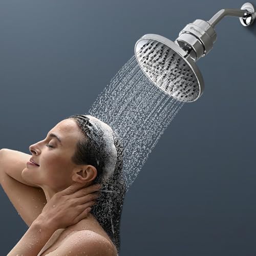 Shower Filter