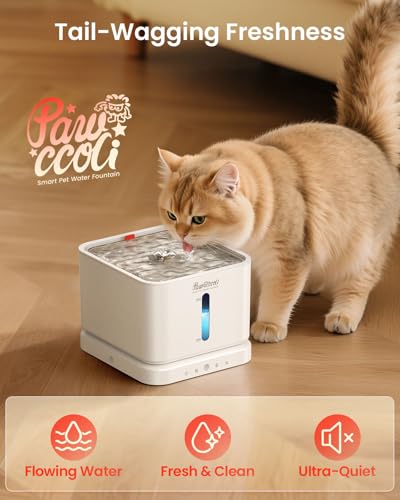 Cordless Cat Water Fountain