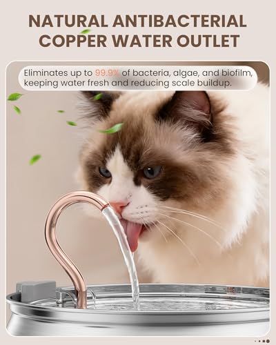 Stainless Steel Cat Water Fountain