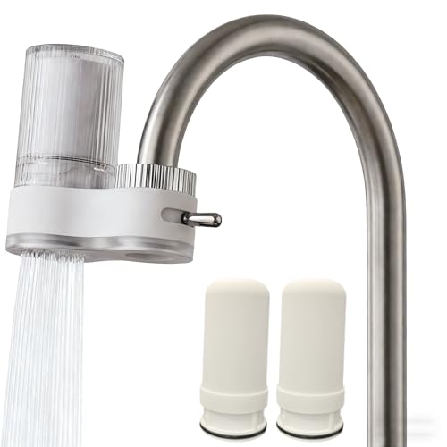 Faucet Water Filter