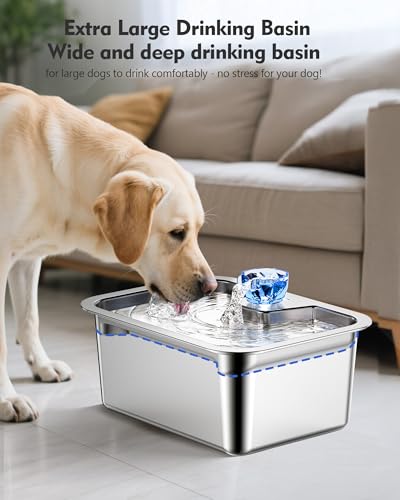 3 Gallon Stainless Steel Dog Water Fountain