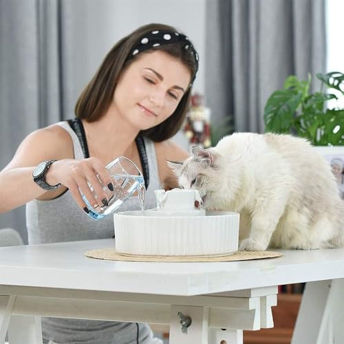 Pet Drinking Fountain (70 Fl Oz)