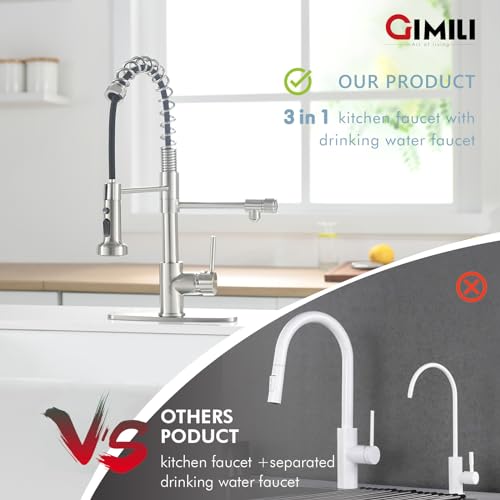 Filter Kitchen Faucet Drinking Water Faucet 3 in 1 Brushed Nickel