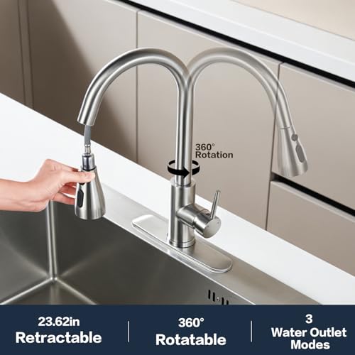 Kitchen Faucet with Pull Down Sprayer
