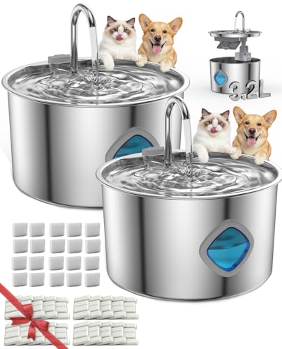 Dog Water Bowl