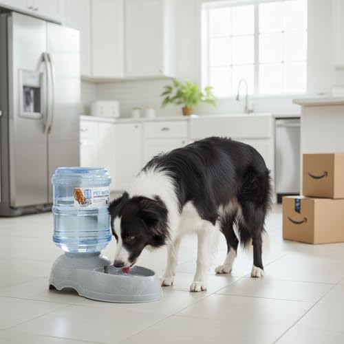 3 Gallon Large Dog Water Dispenser