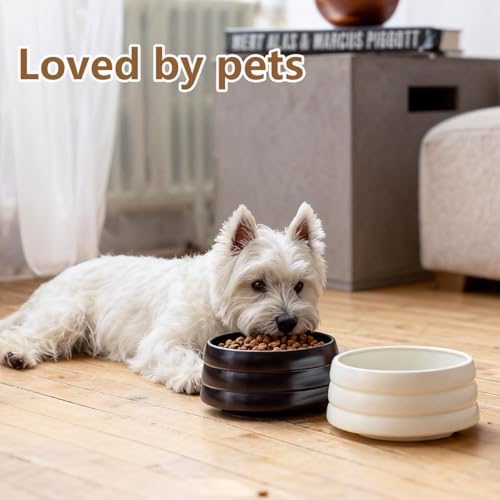 BOBO & Bowl Dog Water Bowl Food