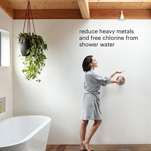VivaSpring filtered shower Replacement Cartridge FF