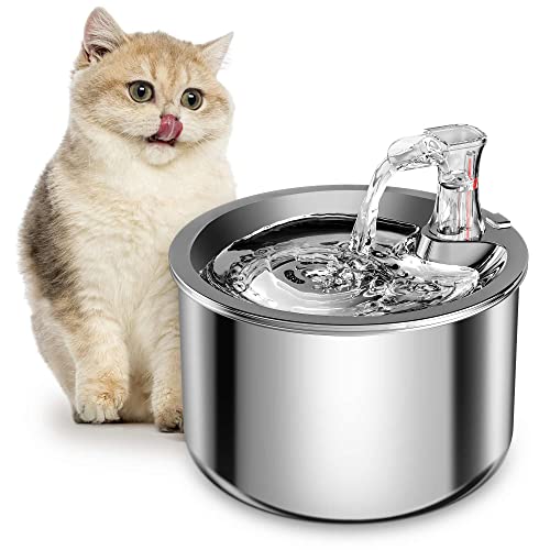 Cat Water Fountain
