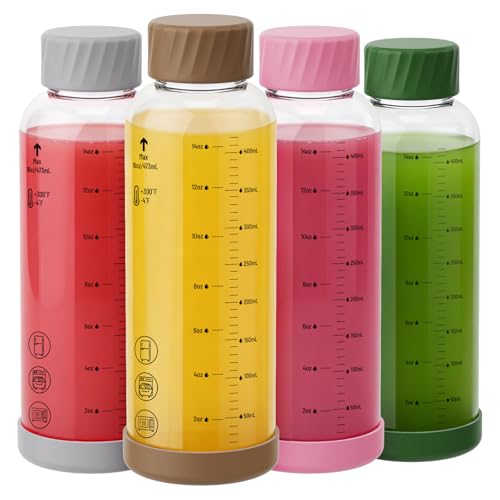 16 oz Glass Juice Bottles 4 Pack