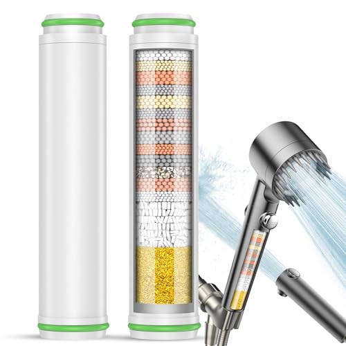 Shower Filter (2 Count)