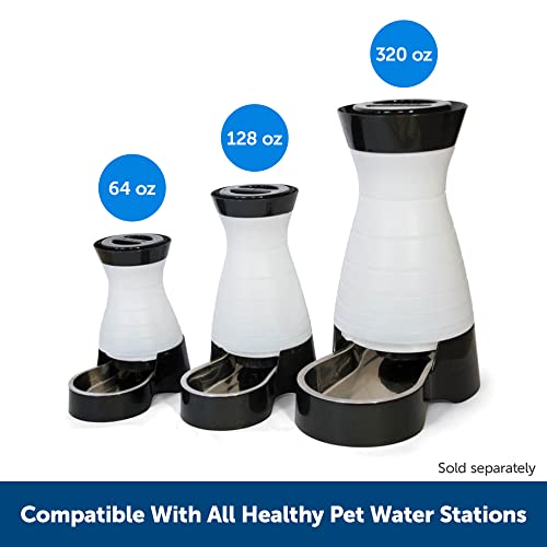 Healthy Pet Water Filter for Dogs & Cats