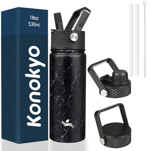 18 oz Insulated Stainless Steel Water Bottle with Straw Lid