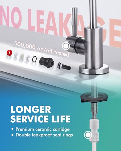 Water Filter Faucet