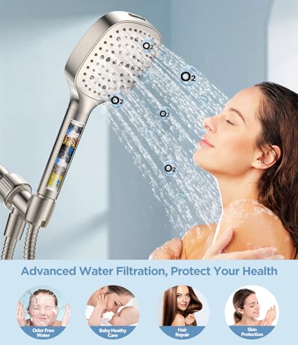 Filtered Shower Head with Handheld
