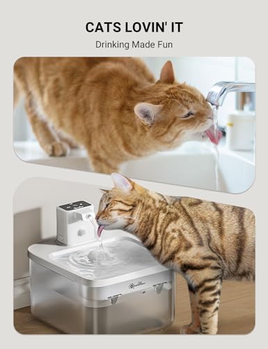 Cat Water Fountain Cordless