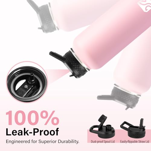 Insulated Water Bottle