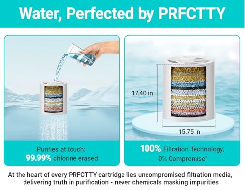 20 Stage Shower Head Filter
