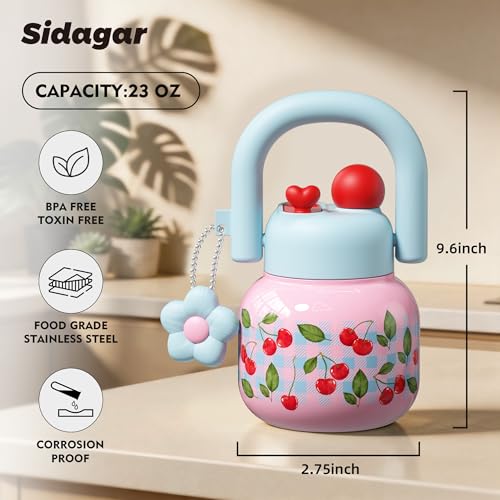 22 oz Tote Insulated Water Bottle with Handle