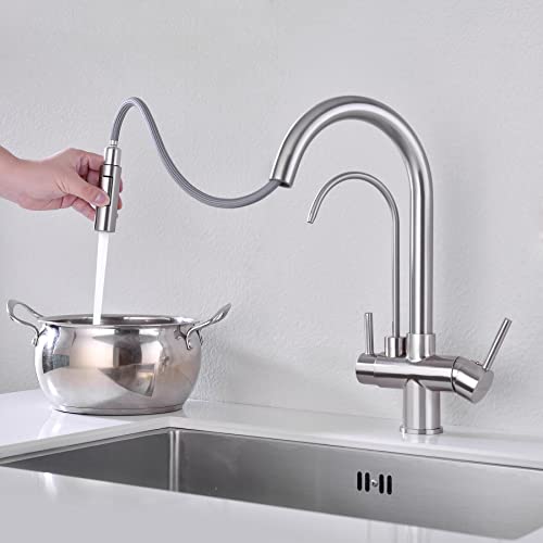 Kitchen Faucet with Pull Down Sprayer