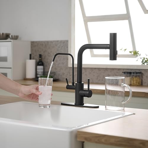 Black Kitchen Faucets with Water Filter and Pull Down Sprayer