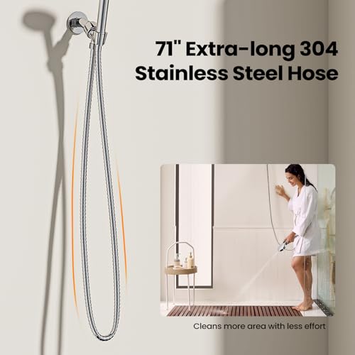 Filtered Shower Head with Handheld