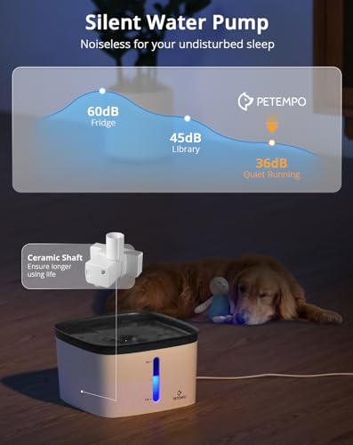 Cat Water Fountain