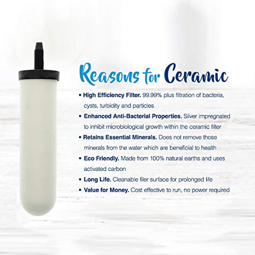 W9121214 British Berkefeld W9121215 0.5 Micron ATC Super Sterasyl Ceramic Water Filter for Gravity Systems (2 Count)