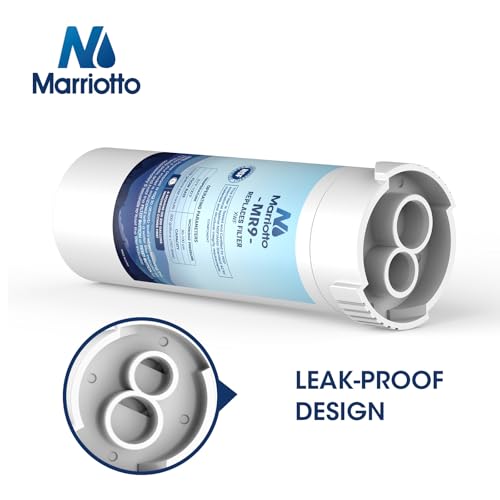 XWF Replacement for GE XWF Refrigerator Water Filter 2 Pack (2 Count)