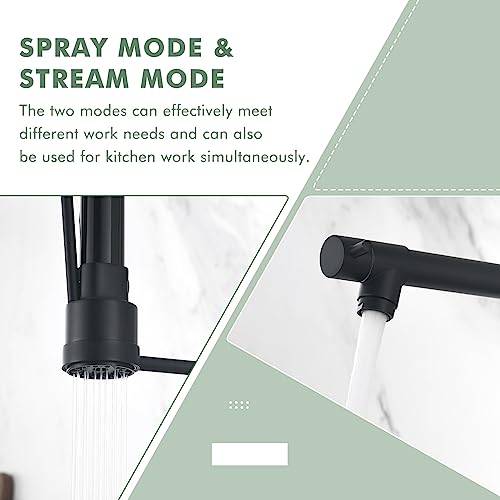 Dual Spout Black Kitchen Sink Faucet with Pull Down Sprayer
