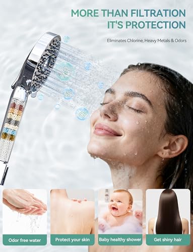 Filtered Shower Head with Handheld