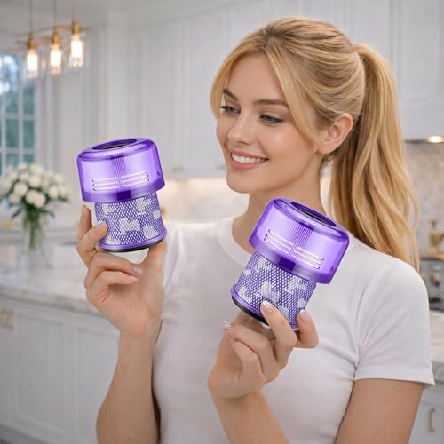 Dyson Outsize Filter (2 Count)
