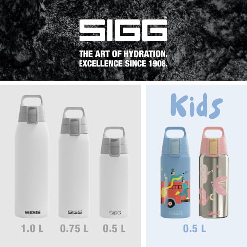 Insulated Water Bottle