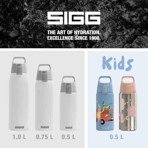 Insulated Water Bottle