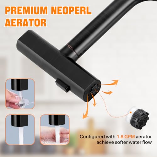 Kitchen Faucet with Pull Down Sprayer