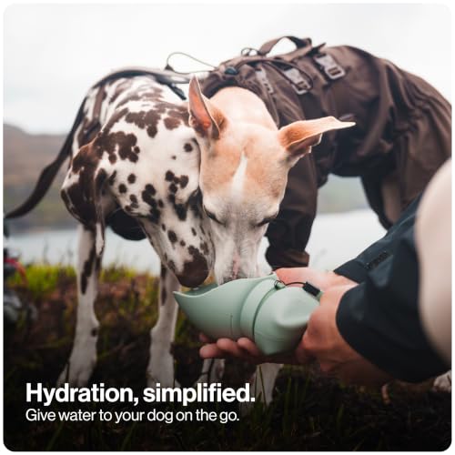Portable Dog Water Bottle