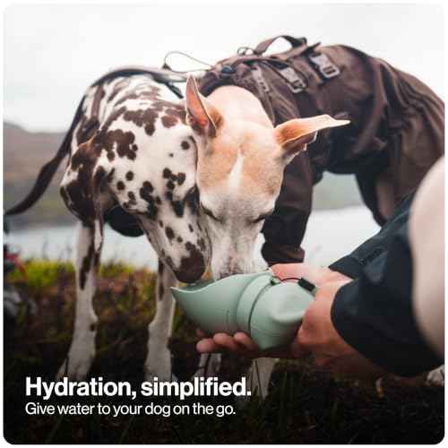 Portable Dog Water Bottle