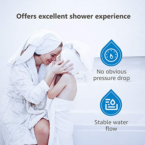 WHR 140 Shower Filter (2 Count)