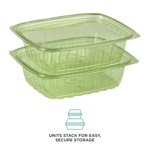 Compostable 24oz Rectangular Deli Containers With Lids (200 Count)