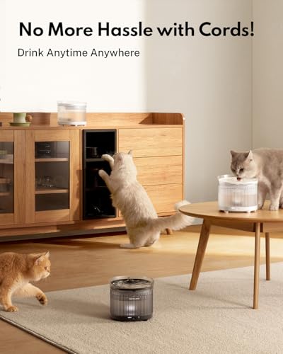 Wireless Cat Water Fountain