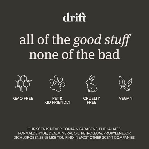 Car Air Freshener (3.4 Ounce)