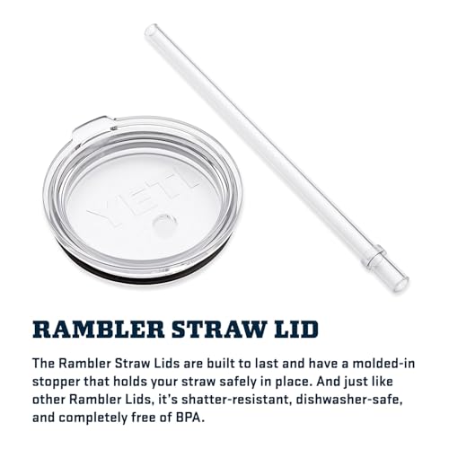 Rambler 42 oz Tumbler with Handle and Straw Lid