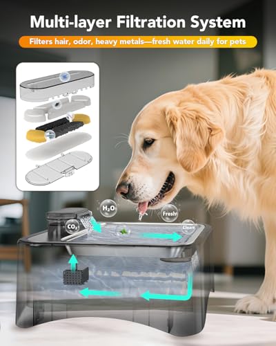 10 Pcs Replacement Filters for 8.5L Elevated Dog Water Fountain