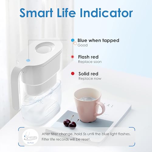 PT 05W Water Filter Pitcher