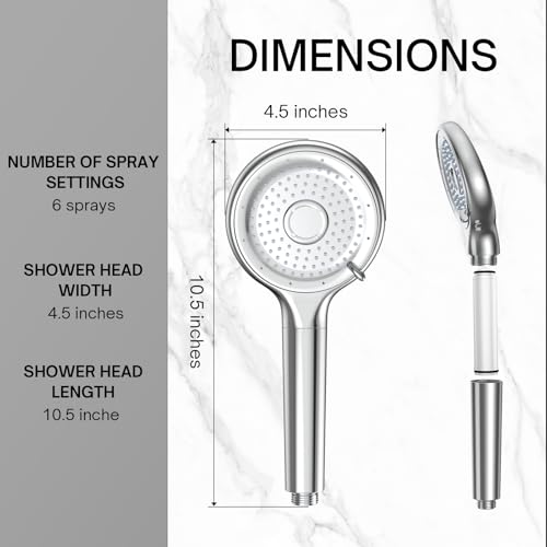 Filtered Shower Head with Handheld