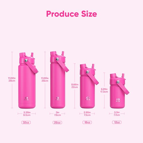 Insulated Water Bottle with Straw Stainless Steel Water Bottle
